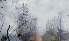 Kebakaran di Gunung Tangkuban Parahu, Jalur Sukawana–Cikahuripan Ditutup Sementara