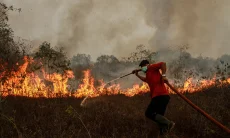 Ribuan Penerbangan Tertahan Kabut Asap