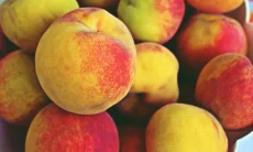 Amankah Makan Kulit Buah Persik? Cek Manfaat dan Risiko Kesehatannya