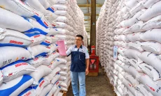 Jelang Musim Tanam, Stok Pupuk Urea Bersubsidi di Cirebon Capai 8.885 Ton