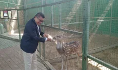 Mini Zoo Grand Sunshine Soreang, Wisata Edukasi yang Bikin Anak Betah Menginap