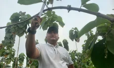 Sudah 220 Hektare, Kabupaten Bogor Terus Memperluas Hutan Kota