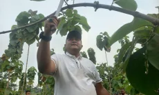 Hutan Kota Warisan Kehidupan