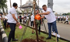 Dari Pohon Tumbuh Harapan