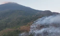 Kebakaran di Gunung Ciremai: Bara Membelah Rimba