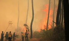 Kebakaran Gunung Ciremai, Pemprov Jabar Kerahkan 1.000 Personel dan Tiga Helikopter