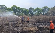 4 Bulan, 59 Kebakaran Lahan Terjadi di Cianjur, BPBD Waspadai Efek Kemarau Panjang