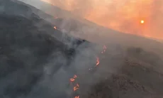 BTNGC Belum Terima Laporan Satwa Liar Terdampak Kebakaran Gunung Ciremai