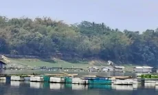 Keramba Penuh, Budidaya Ikan Beralih ke Darat