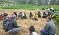 Perusakan 5.000 Tanaman Teh di Pangalengan Berujung Ricuh, Petugas Perkebunan Terluka