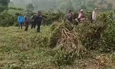 Viral Video Warga Protes Perusakan Kebun Teh di Pangalengan: 'Ieu Tanah Kuring Kumaha
