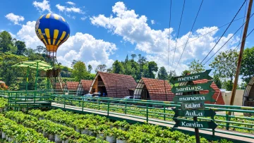 Menyemai Bahagia di Kebun Stroberi