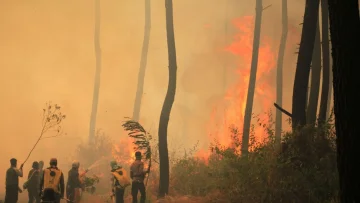 Gencar Tangani Kebakaran di Gunung Ciremai, Dedi Mulyadi Klaim Tersisa 20 Persen