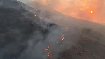 BTNGC Belum Terima Laporan Satwa Liar Terdampak Kebakaran Gunung Ciremai