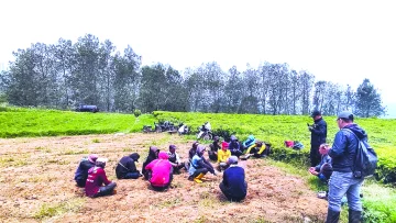 Pangalengan dan Nestapa dari Kebun Teh