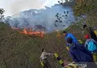 TWA Gunung Papandayan Aman dari Bencana Kebakaran Hutan
