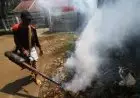 Purwakarta Waspada Peningkatan Kasus DBD di Pancaroba