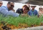 DPRD Jabar Minta Pemprov Perhatikan Satpel Benih dan Hortikultura