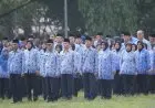 Peserta Tes PNS di Kab Bogor 20.500 Orang, Pelaksanaannya 12 Hari