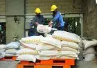 Terdampak Covid-19, PKC Jamin Ketersediaan Pupuk Musim Tanam