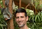 Sisi Lain Djokovic, Lucu Banget Pas Lihat Koala