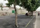 DPRD Minta Boxies Tidak Tebang Pohon di Area Sekitar Mal