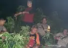 Ada Ganja di Lahan BKSDA Garut, Ini Kata Polisi