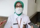 Cabai Merah Masih Mahal, Ini Kata Elly Wasliah