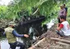 Ya Allah, Nenek di Sampit Diterkam Buaya Hingga...