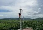 Trafik Data Telkomsel Naik 53% Saat Nataru 2021