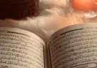 Jangan Keliru, Inilah Amalan Afdhal di Malam Jumat