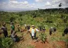 Lembah Korpri Bakal Hadir Tahun Ini