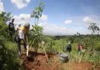 Hari Sejuta Pohon, Kota Bandung Tanam 2.018 Bibit Pohon