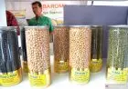 Percepat Produksi Lokal, Kementan Siapkan 6 Varietas Unggul Kedelai