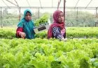 Kaltim: 7 Tahun UU Desa Mampu Mendorong Perkembangan Desa