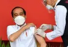 Bagaimana Vaksin Covid-19 Bekerja di Tubuh Kita? Begini Penjelasan Dokter