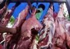 Satgas Pangan Jabar Memastikan Harga Daging Sapi Segar Masih Terkendali