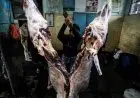 Harga Daging Sapi Melejit, Pemotongan RPH Kota Bandung Menurun