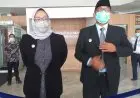 Tolak Bantuan Keuangan dari Kementerian, Ini Komentar Pedas Ade Yasin untuk Bawahannya