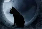 Kisah Iblis yang Menyamar Menjadi Kucing