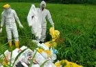 Waduh, Satgas Penanganan Covid-19 Temukan 17 Karung Sampah APD Dibuang Sembarangan