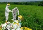Selain Tenjo, Pembuangan Limbah B3 Sembarangan pun Terjadi di Cigudeg
