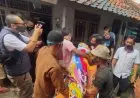 Tragis, Ibu dan Anak Meninggal Setelah Konsumsi Nasi Tutug Oncom