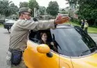 Bima Cek Penerapan Ganjil Genap, Ayu Ting Ting Terjaring Razia