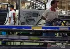 Indef: Perekonomian Nasional Membaik Namun Belum Optimal