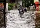 Sikap Kami: Bersuka di Atas Derita