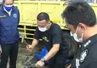 Depari Akui, Baru Kali Ini Temukan Ganja Modus Lemang