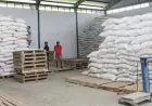 KBI Genjot SRG 