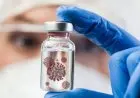 Eijkman: Rekombinasi Varian Virus Corona Pengaruhi Diagnostik Covid-19