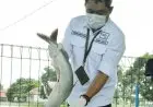 DKP Jabar Rekomendasikan Empat Komoditas untuk Petani Milenial Juara